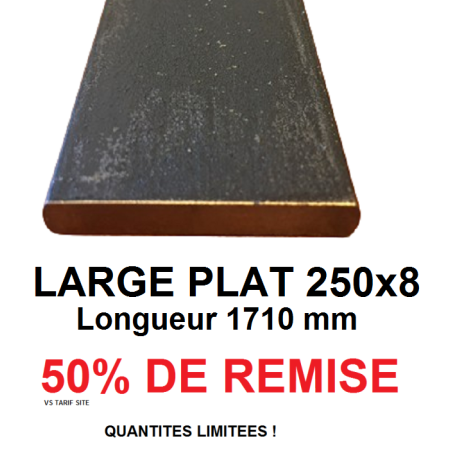 LARGE PLAT 250x8 - longueur 1710 mm