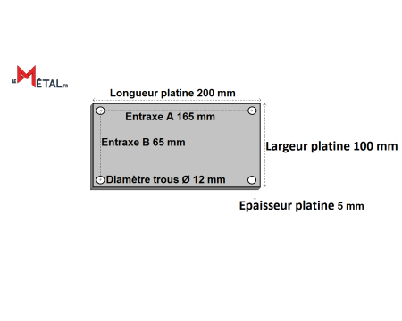Platine rectangle percée 100x200x5