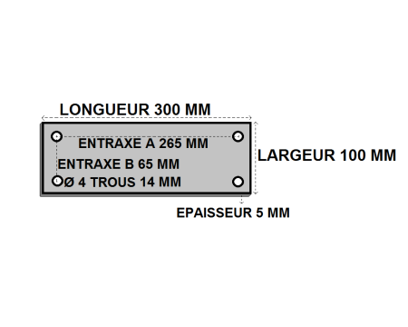 Platine rectangle percée 100x300x5