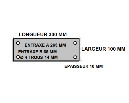 Platine rectangle percée 100x300x10