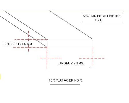 FER PLAT ACIER 20 X 12 NOIR S235