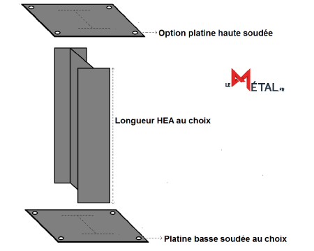 HEA 100 SUR PLATINE