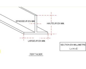 FER TE ACIER 45 X 45 X 5.5 MM NOIR S235
