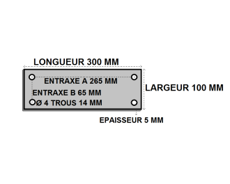 Platine rectangle percee 100x300x5