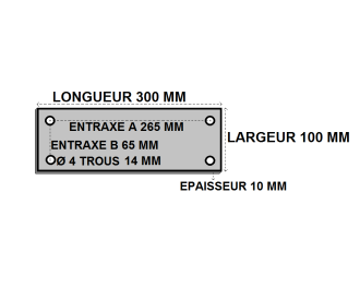 Platine rectangle percee 100x300x10