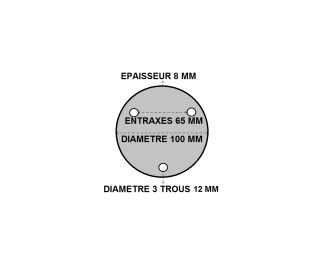 Platine ronde percee 100 x 8